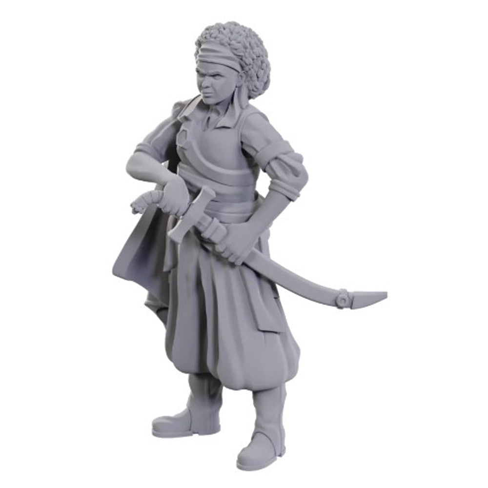 D&D Nolzur's Marvelous Unpainted Miniatures: W23 Ansalon Human Rogue