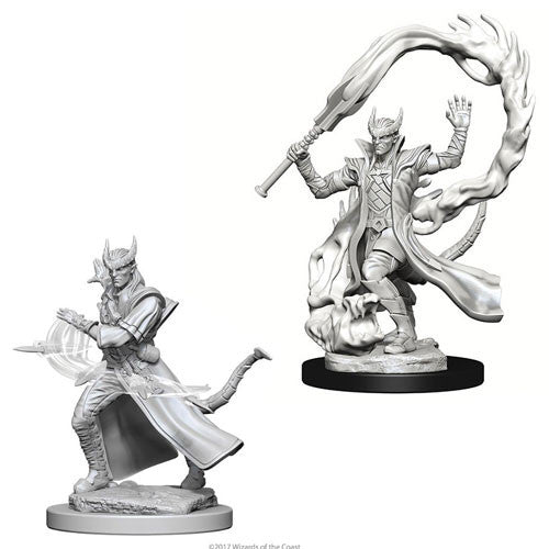 D&D Nolzur's Marvelous Unpainted Miniatures: Tiefling Male Sorcerer W12