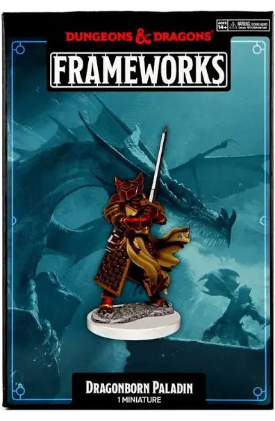 Dungeons & Dragons Frameworks: W01 Dragonborn Paladin male