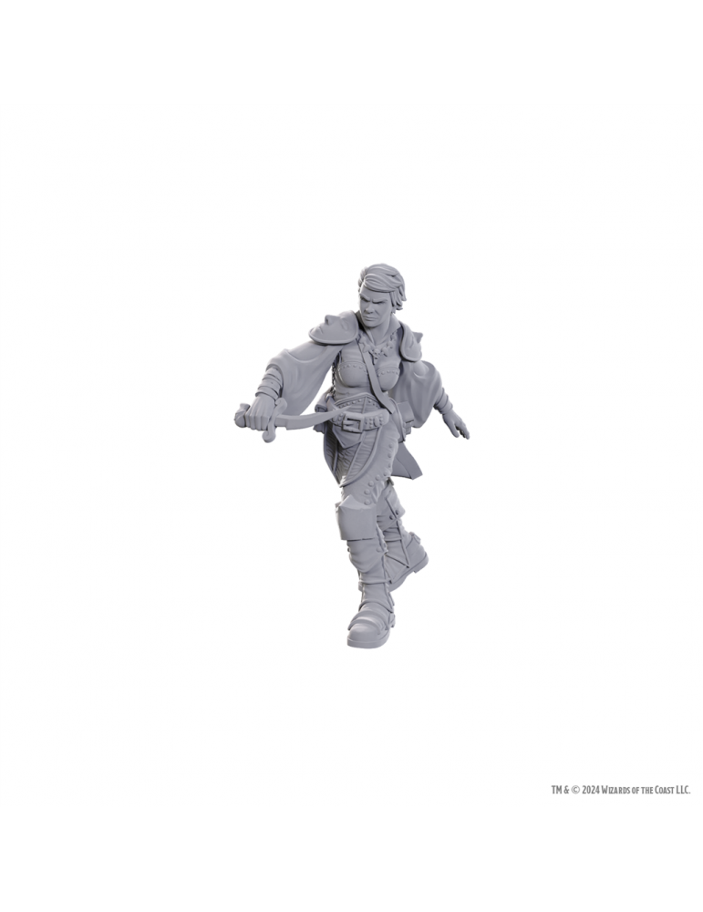 Dungeons & Dragons: Nolzur's Marvelous Unpainted Miniatures- Swashbuckler W25