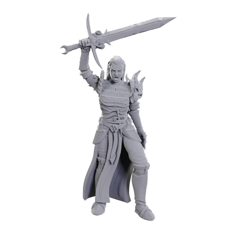 Dungeons & Dragons: Nolzur's Marvelous Unpainted Miniatures- Blackguard W25