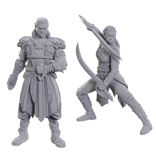 D&D Nolzur's Marvelous Unpainted Miniatures: Baldur's Gate Jaheira & Halsin