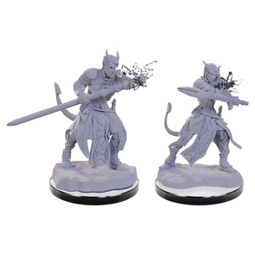 D&D Nolzur's Marvelous Unpainted Miniatures: Tiefling Warlocks W22