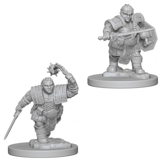 2 dwarf female fighter unpainted miniatures