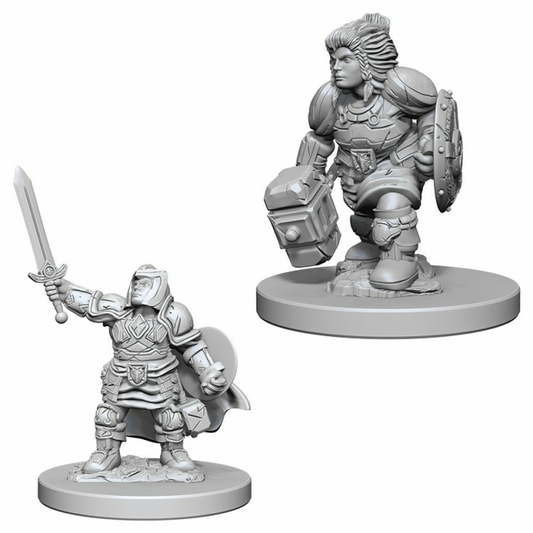 D&D Nolzur's Marvelous Unpainted Miniatures: Dwarf Female Paladin