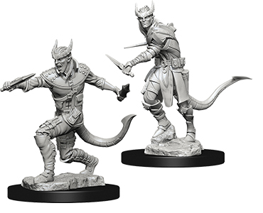 D&D Nolzur's Marvelous Unpainted Miniatures: Tiefling Male Rogue 2 figures