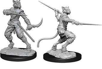 D&D Nolzur's Marvelous Unpainted Miniatures: Tabaxi Male Rogue 2 figures