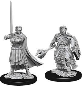 D&D Nolzur's Marvelous Unpainted Miniatures: Male Human Cleric 2 figures