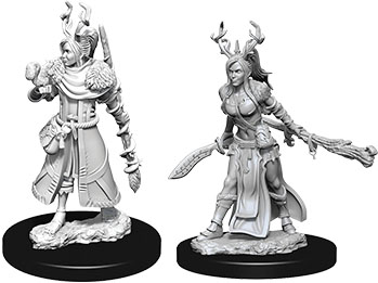 D&D Nolzur's Marvelous Unpainted Miniatures: Human Female Druid