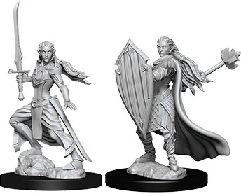 D&D Nolzur's Marvelous Unpainted Miniatures: Elf Female Paladin 2 figures