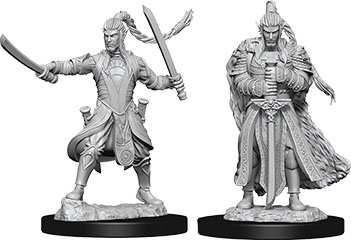D&D Nolzur's Marvelous Unpainted Miniatures: Elf Male Paladin 2 figures