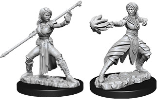 D&D Nolzur's Marvelous Unpainted Miniatures: Half-Elf Female Monk 2 figures