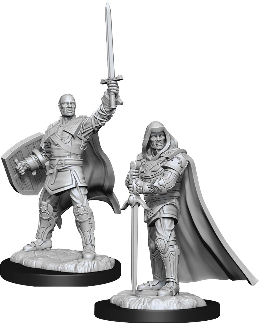 D&D Nolzur's Marvelous Unpainted Miniatures: Human Male Paladin W13 2 figures