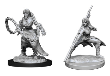 D&D Nolzur's Marvelous Unpainted Miniatures: Human Female Monk W14