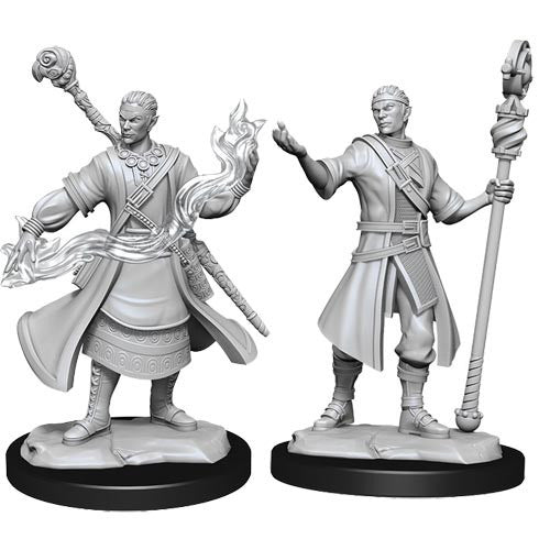 D&D Nolzur's Marvelous Unpainted Miniatures: Half-Elf Male Wizard W14