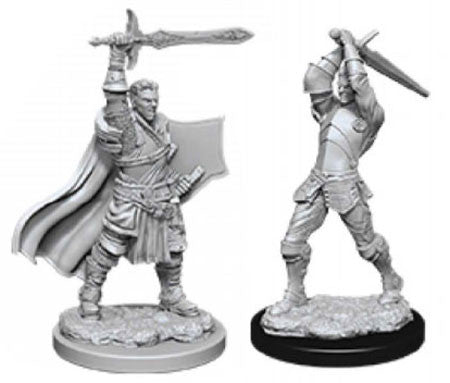Human male paladin. Two figures.