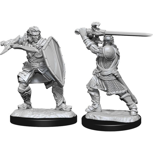 D&D Nolzur's Marvelous Unpainted Miniatures: Human Male Paladin W14