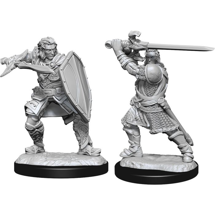 D&D Nolzur's Marvelous Unpainted Miniatures: Human Male Paladin W14