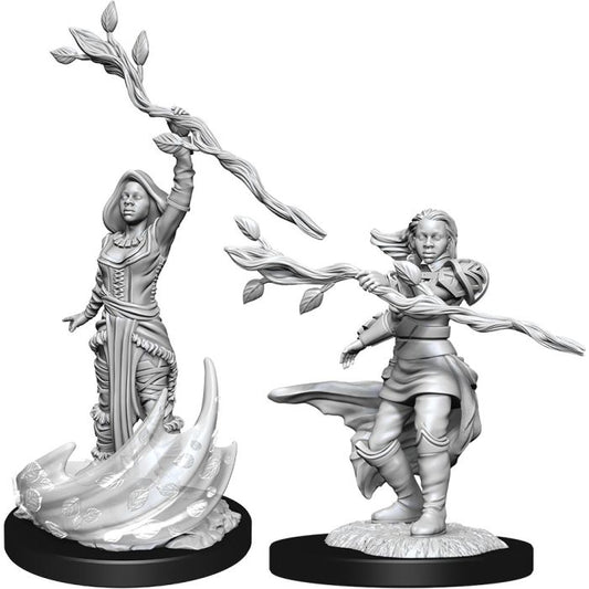 D&D Nolzur's Marvelous Unpainted Miniatures: Human Female Druid W14